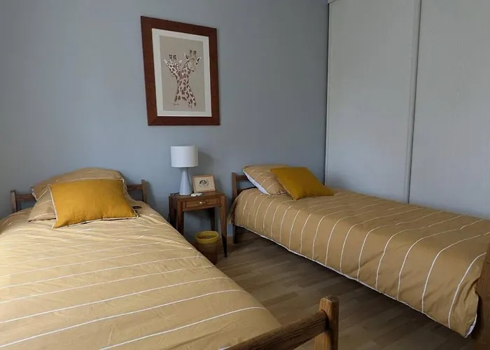 Maison Avec Piscine Quartier Pinède De Conteau * La Teste-de-Buch